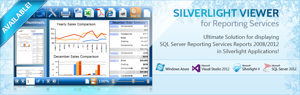 Silverlight Viewer for Reporting Services