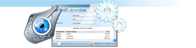Reporing Service reports in Silverlight apps 