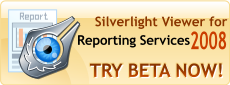 reporting component for Silverlight