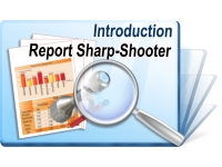 SharpShooter Reports Introduction