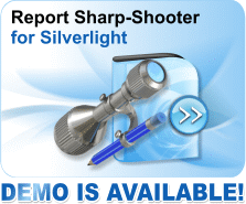 reporting component for Silverlight