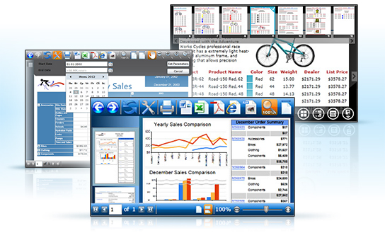 PerpetuumSoft Viewers for SSRS software