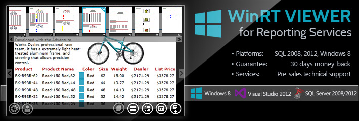 WinRT Viewer for Reporting Services